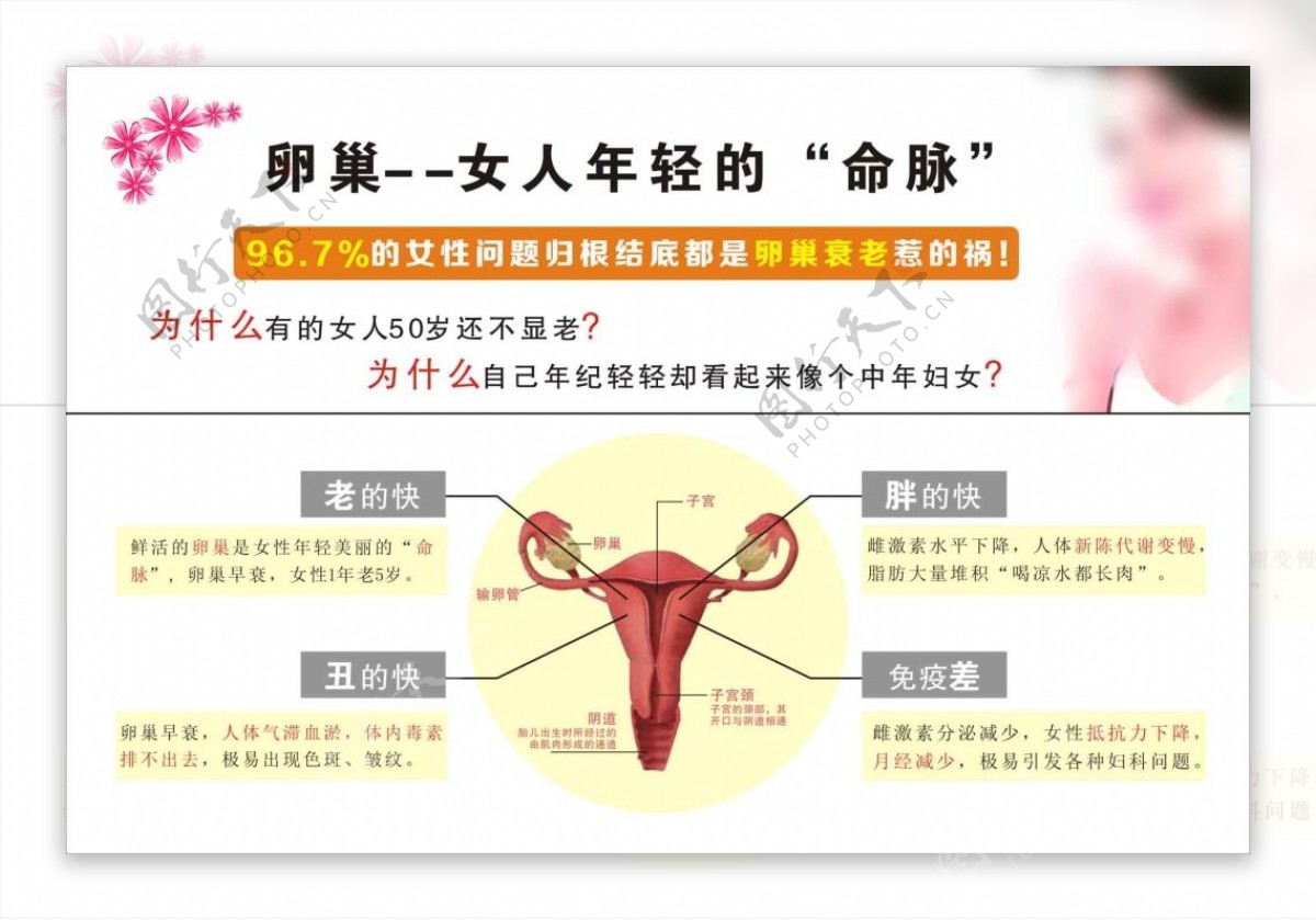 保护卵巢海报