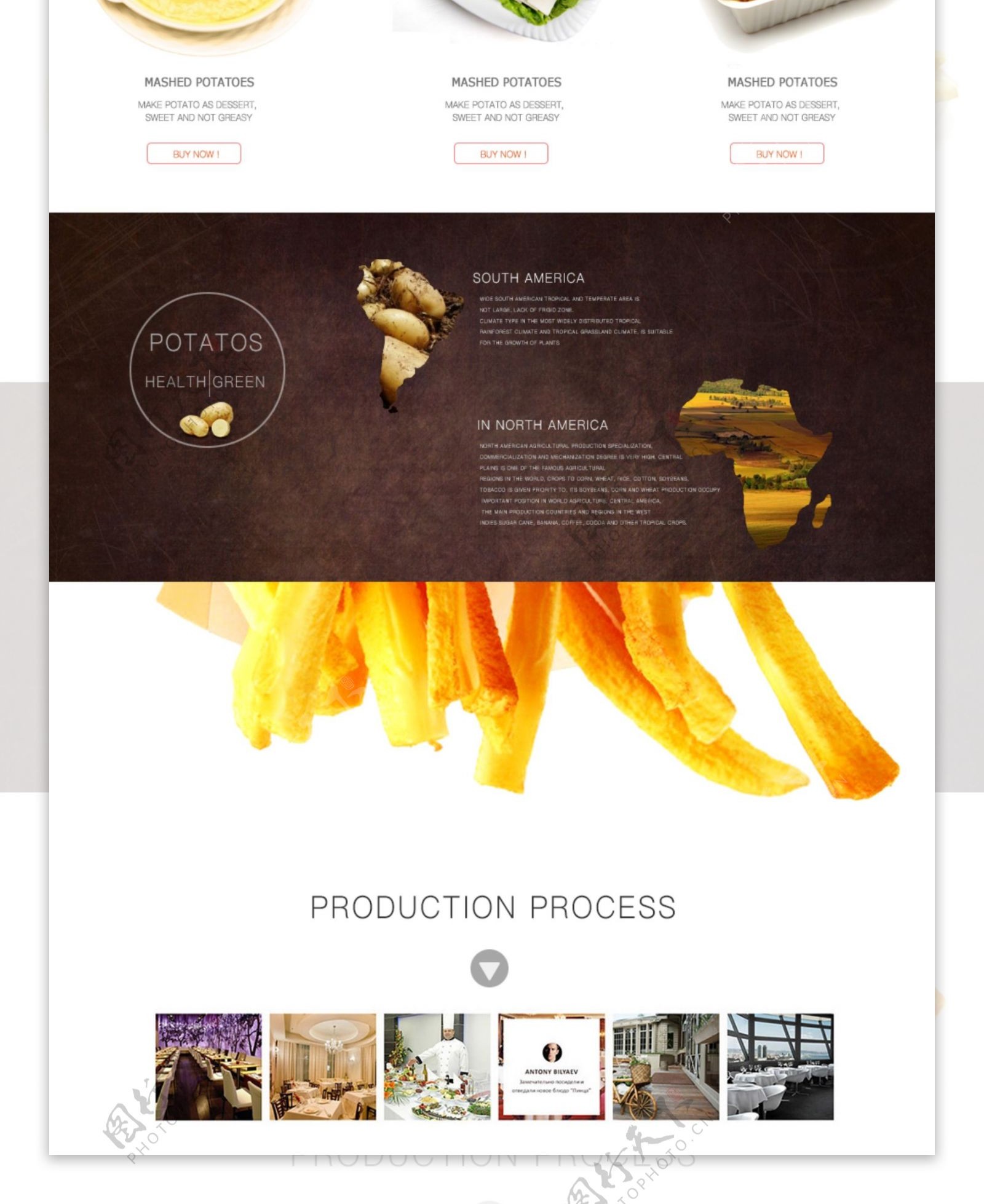 网站设计食品网站首页设计