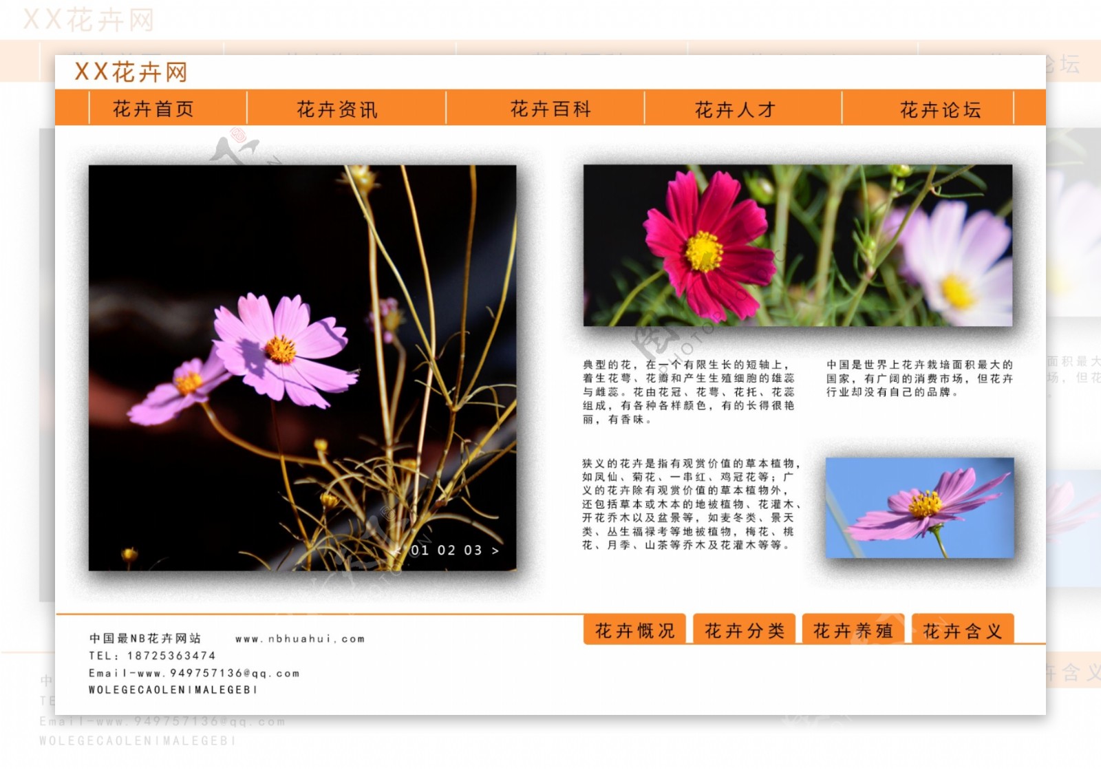 花卉网站页面