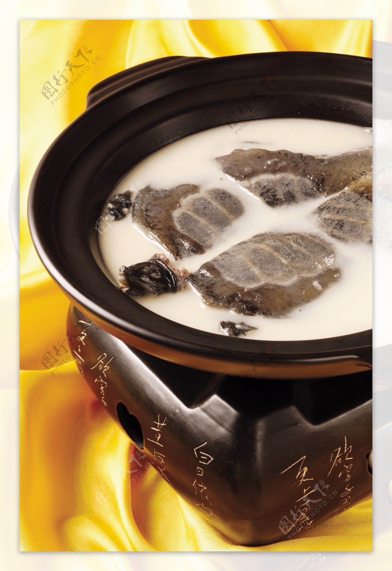 原汁奶汤炖野生甲鱼