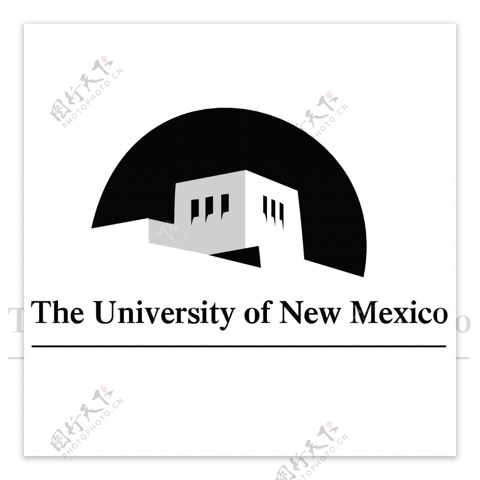 新墨西哥大学