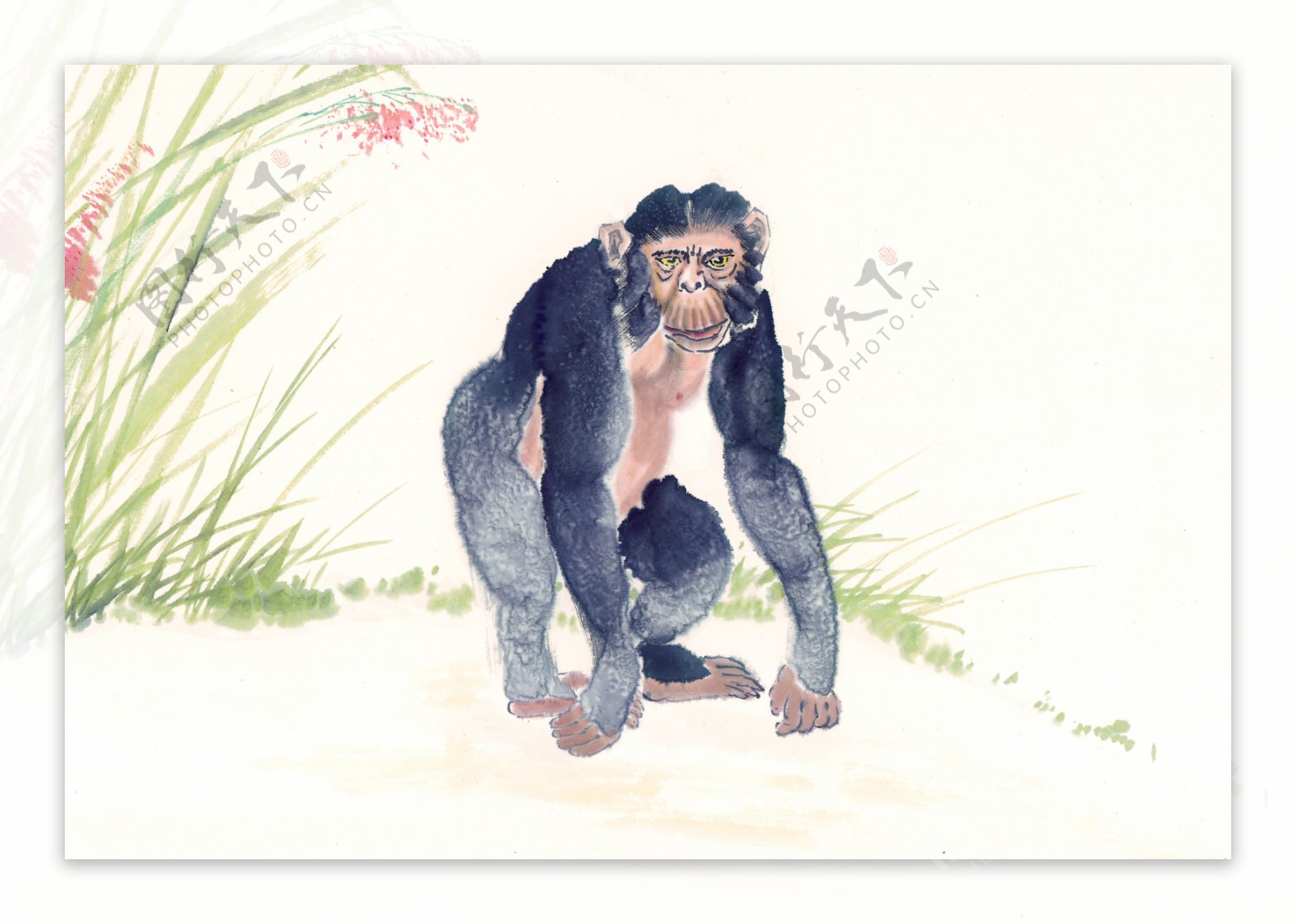 小草中国画绘画猴子