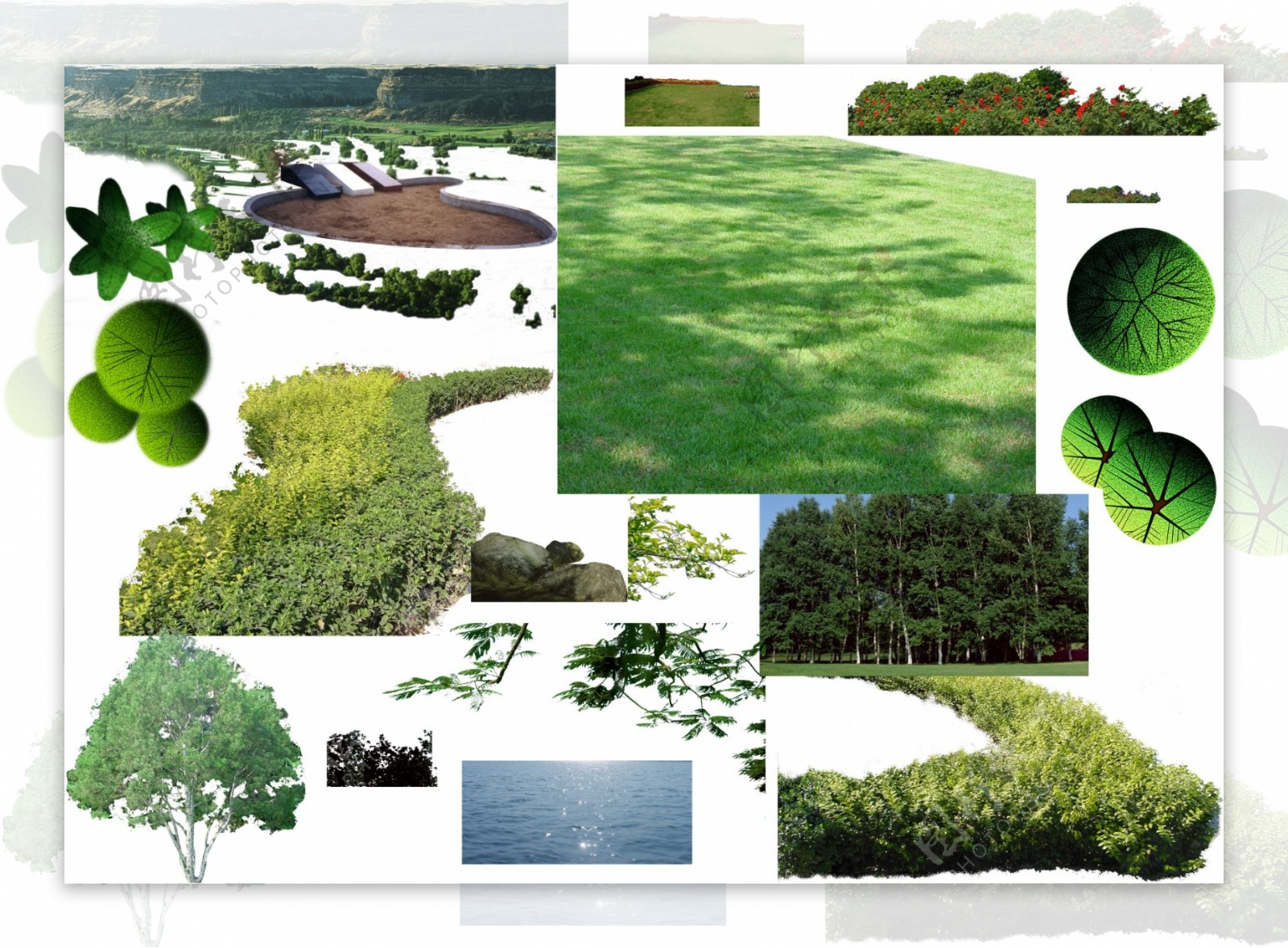精美绿化平面素材图片