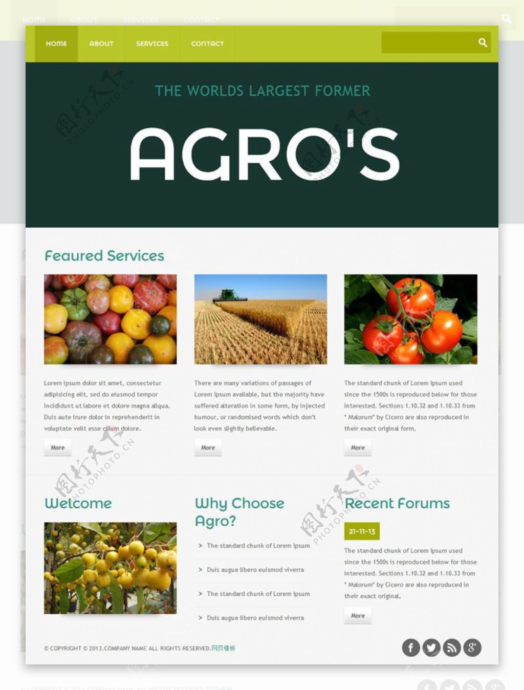 农业种植CSS3网站