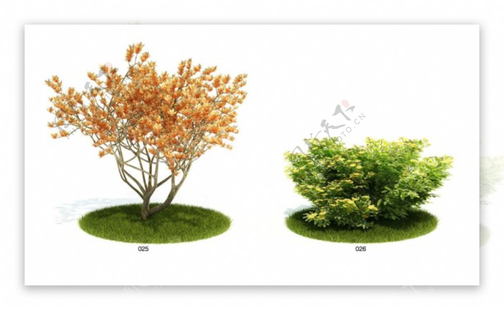 室外植物模型
