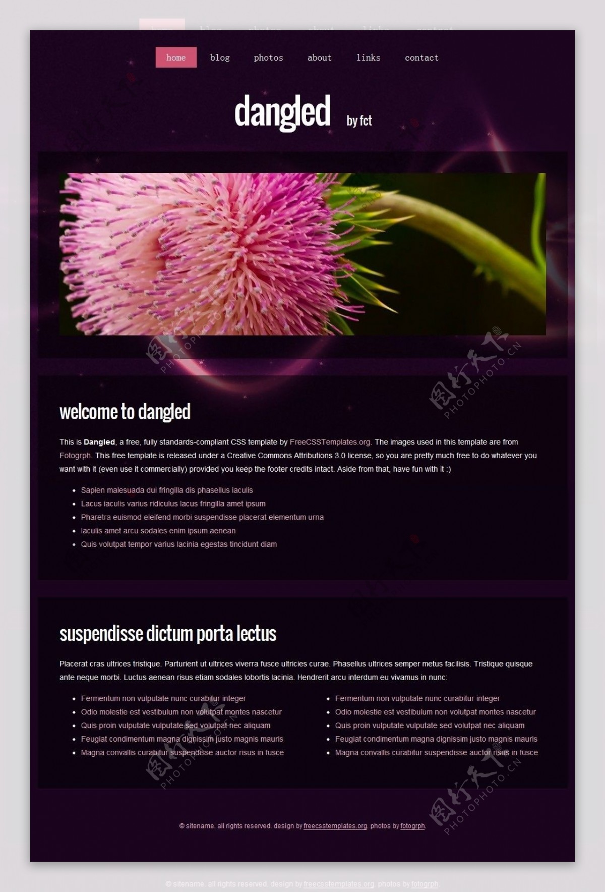 紫色星际之花网页模板