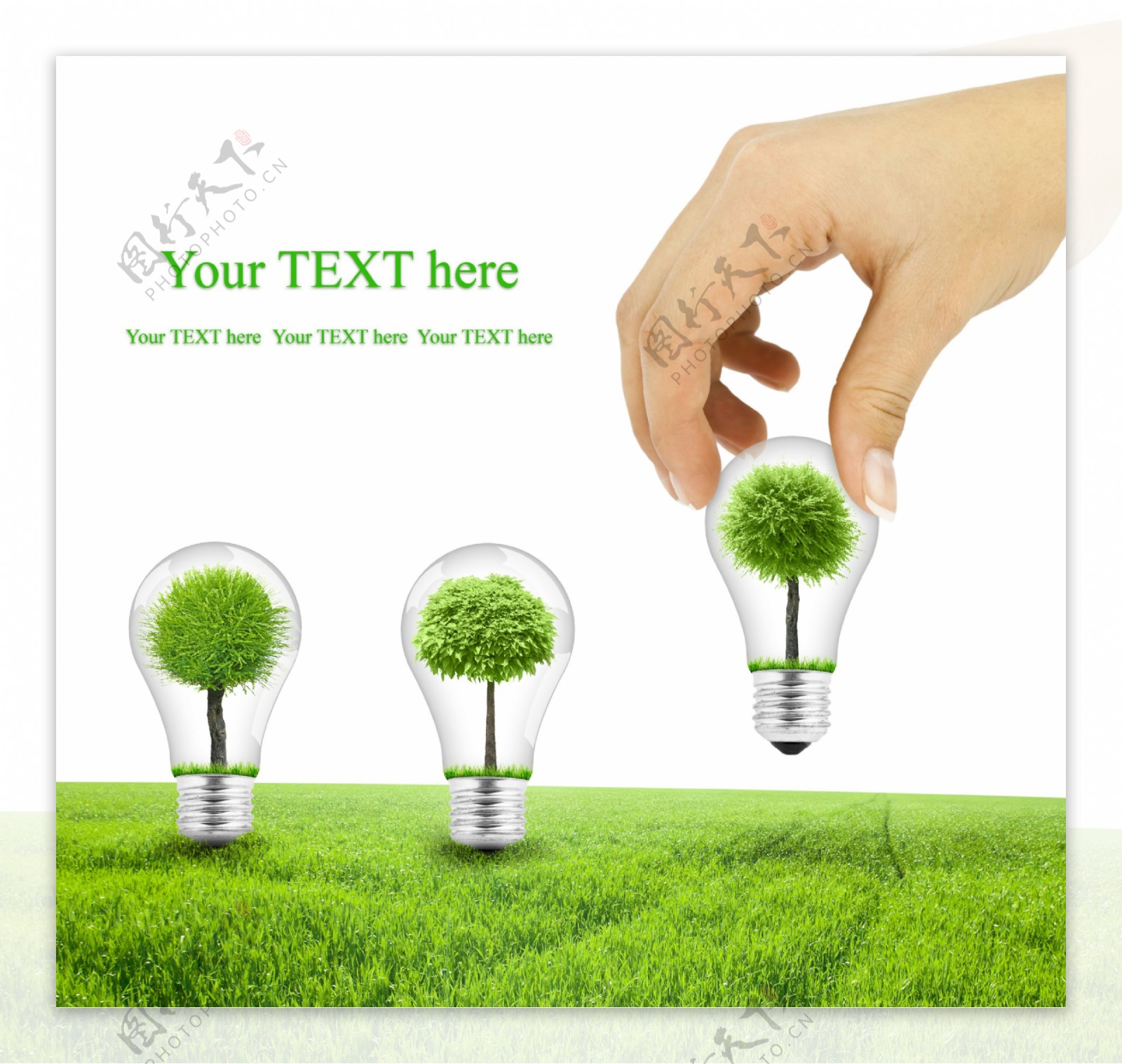 绿色灯泡生态设计图片