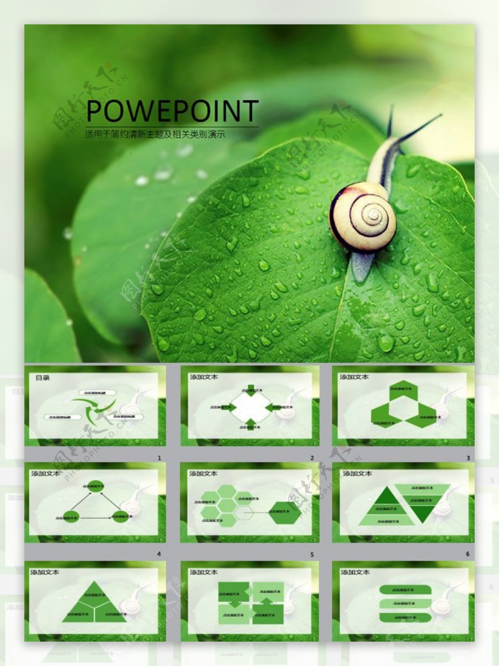 蜗牛与绿叶环境工作汇报ppt模板