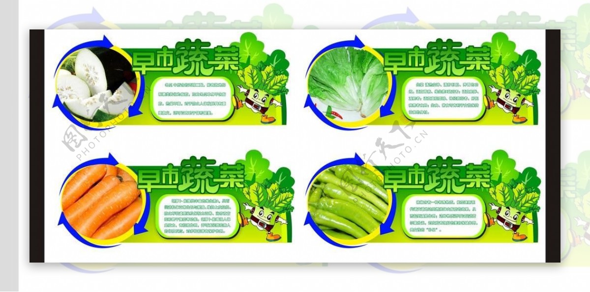 蔬菜知识牌图片
