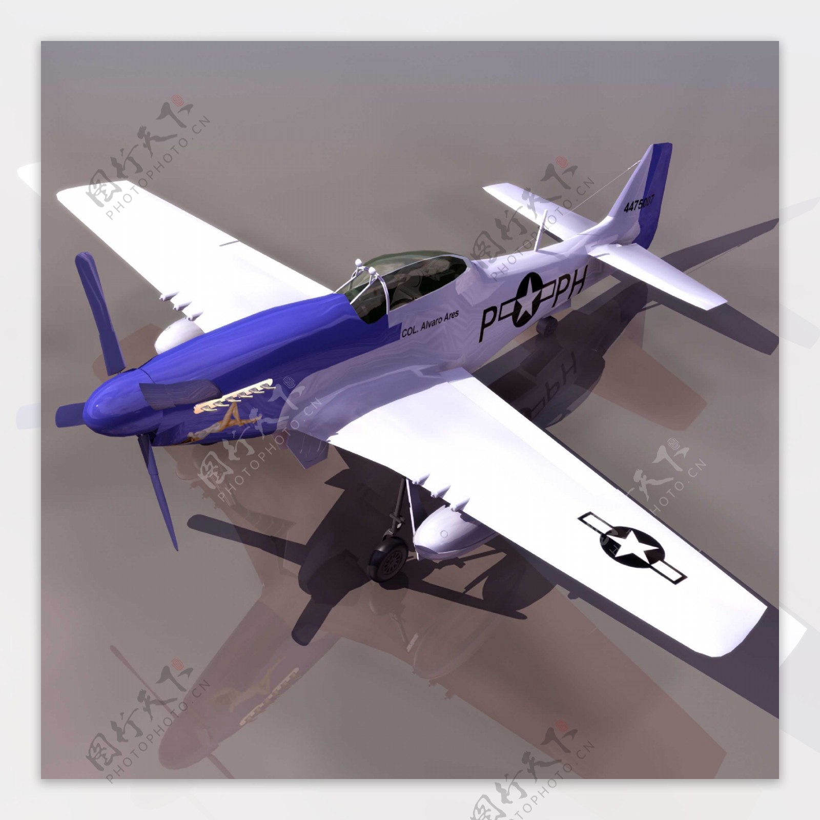 MustangMP51DUSAFWWIIFighter水上飞机