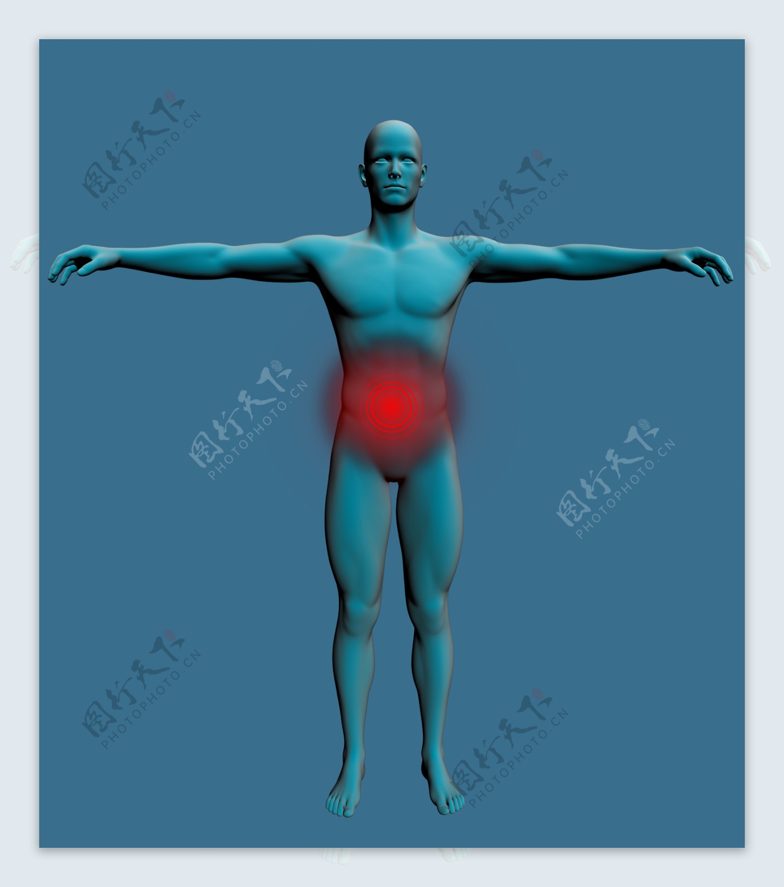 3d人的胃的例证 库存例证. 插画 包括有 高亮度显示, 带状闪长岩, 科学, 蓝色, 爱好健美者, 男人 - 38294394