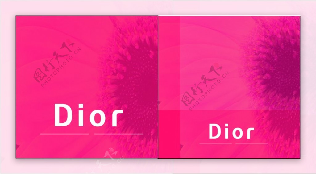 Dior简单的画册封面