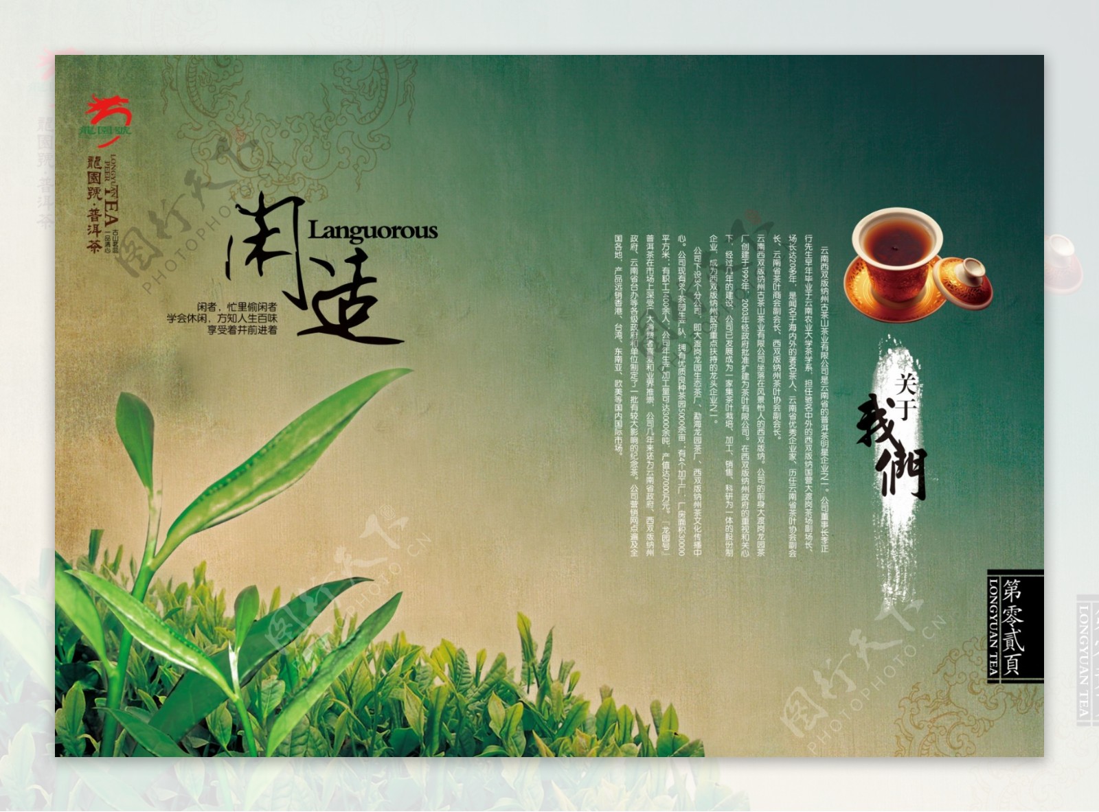 中国风茶叶画册模板下载