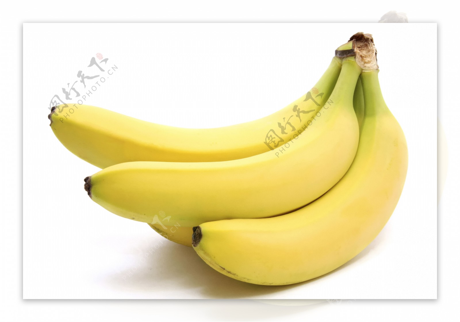 一把香蕉高清图