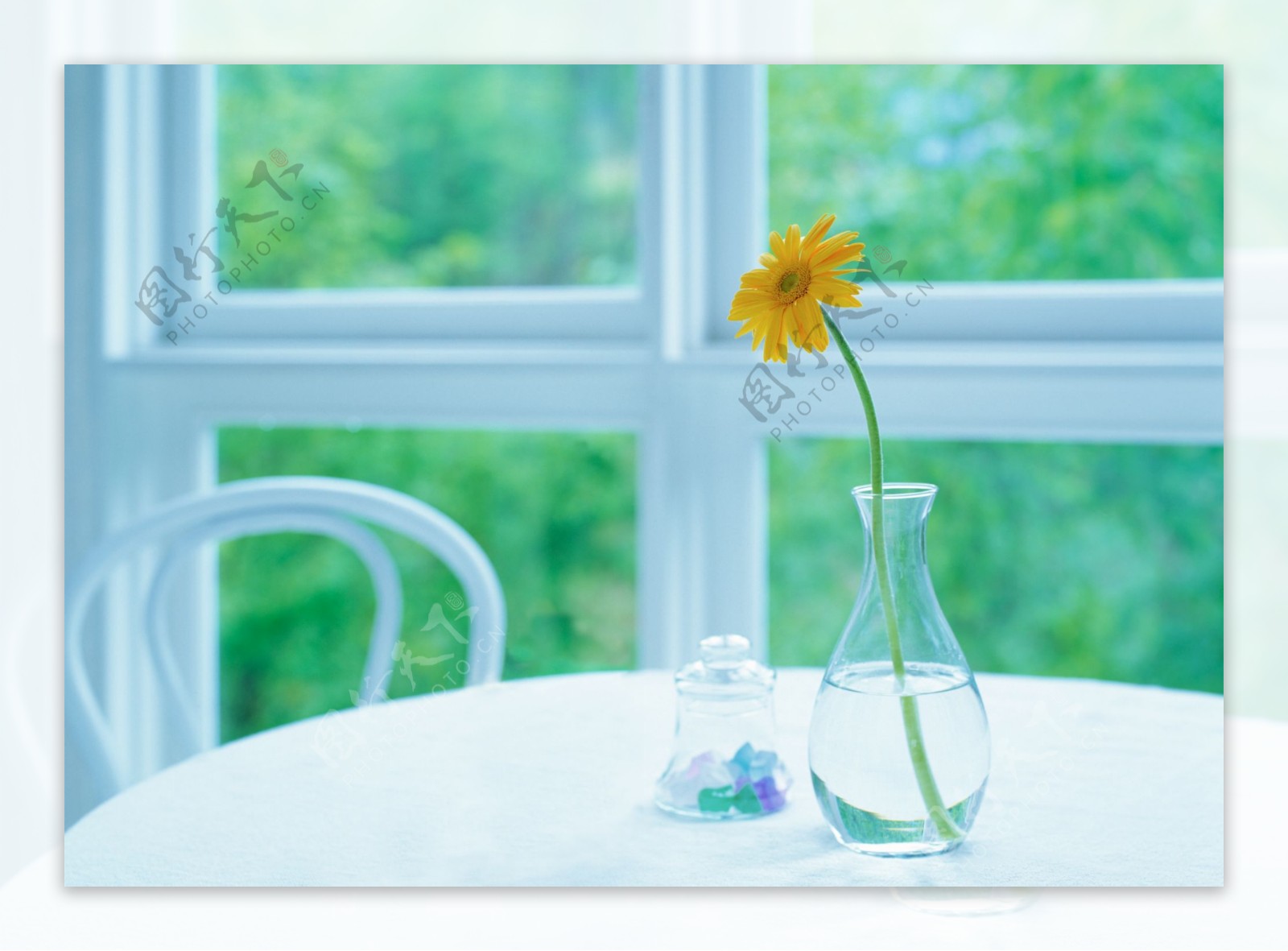 窗前桌上的花瓶鲜花图片