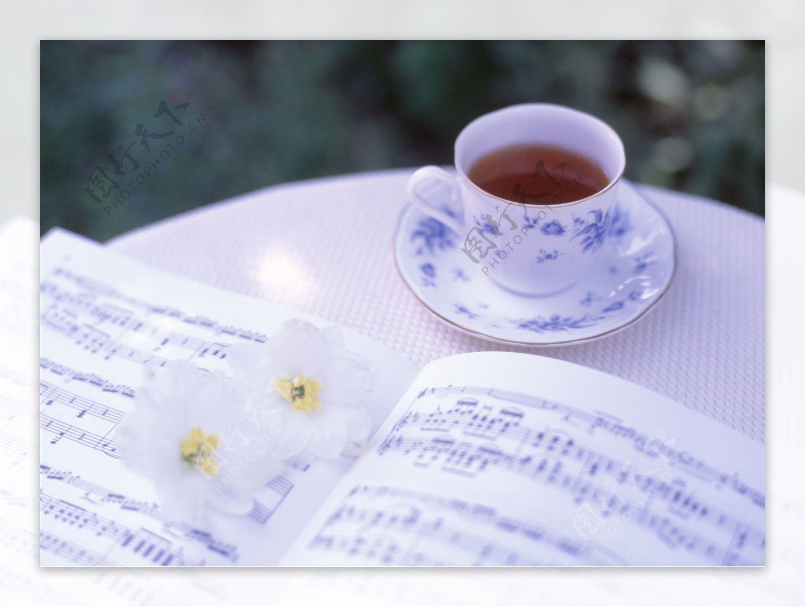 桌子上的曲谱鲜花茶水茶杯图片