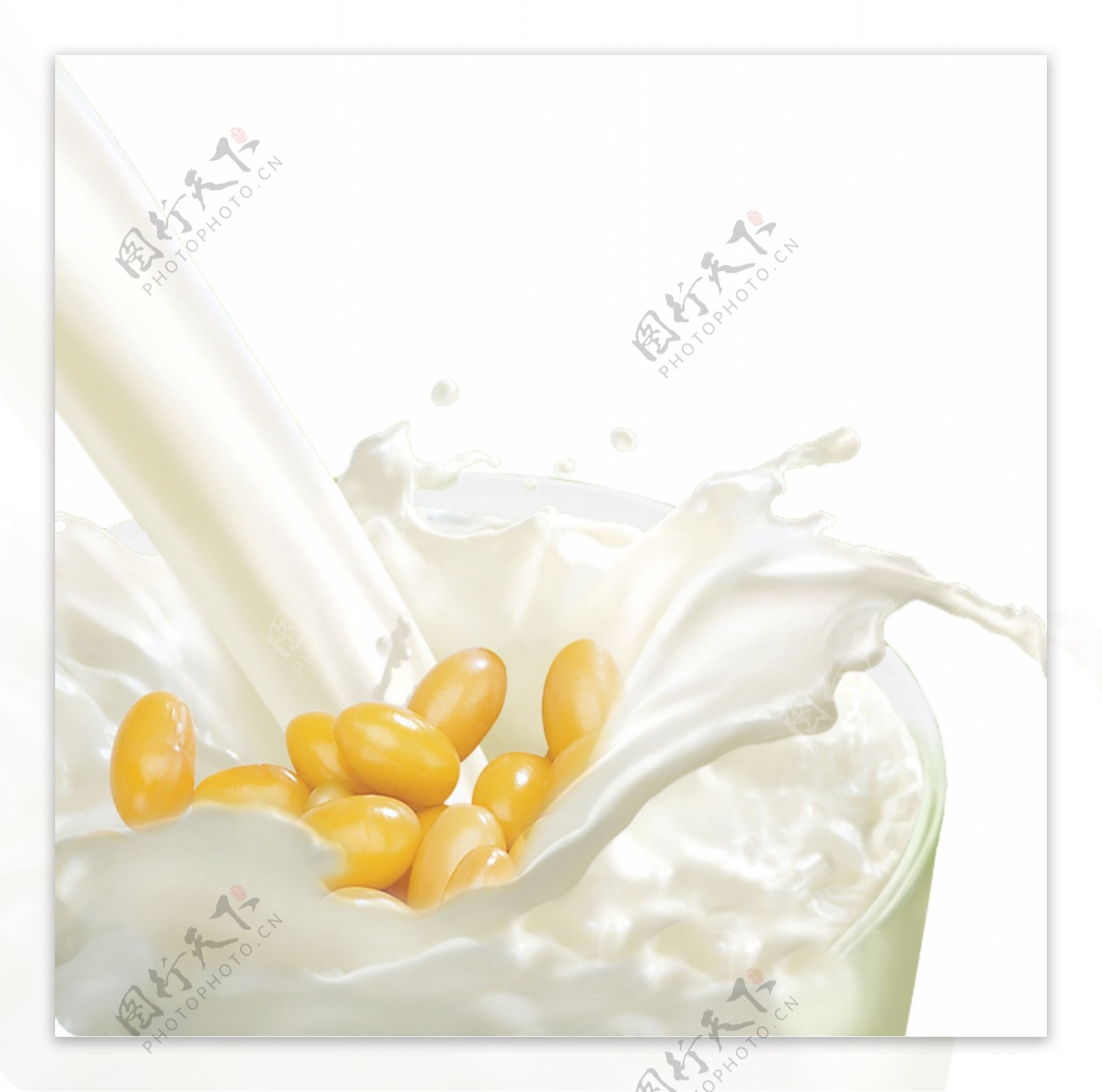 黄豆蛋白牛奶图片