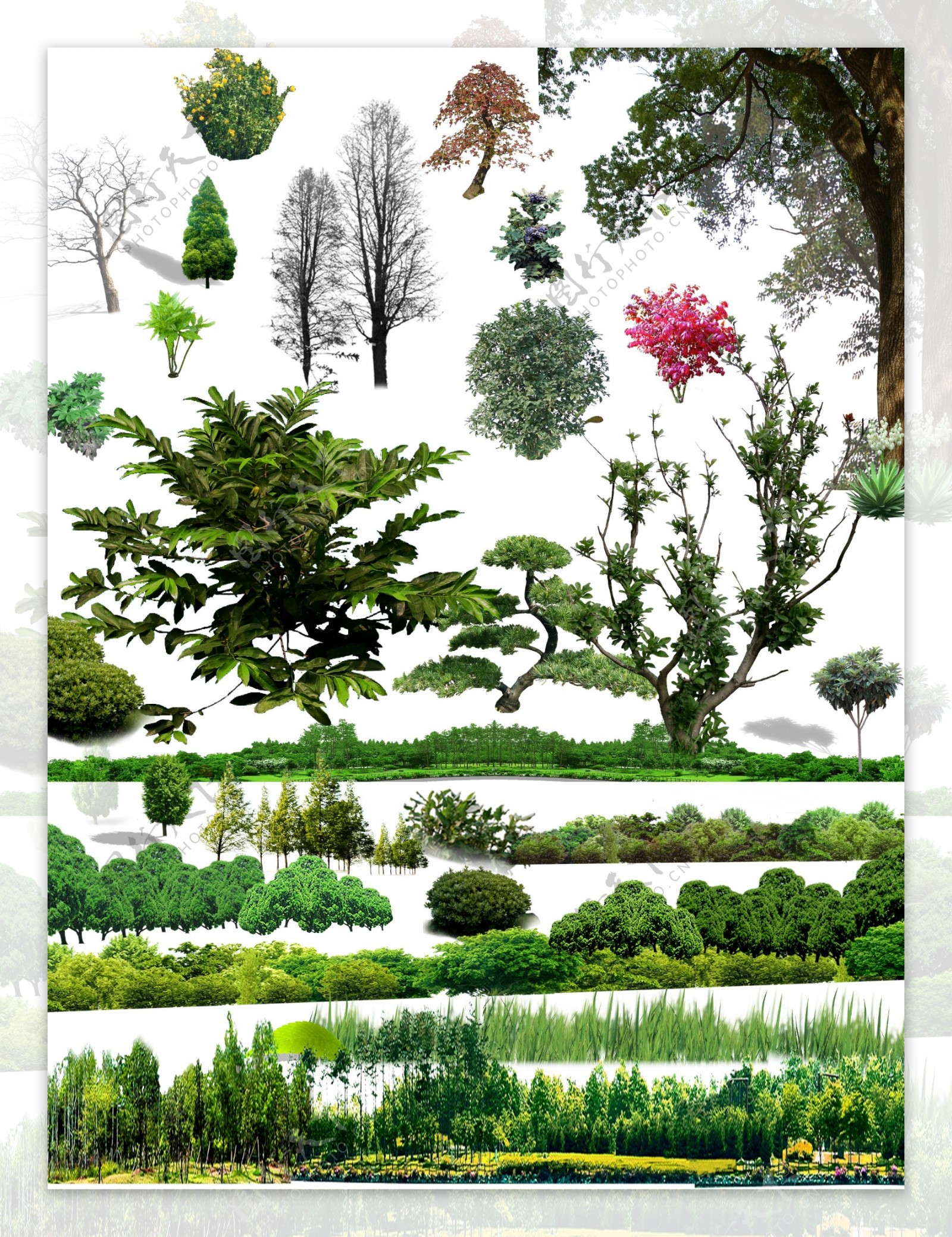 花草树林素材图片
