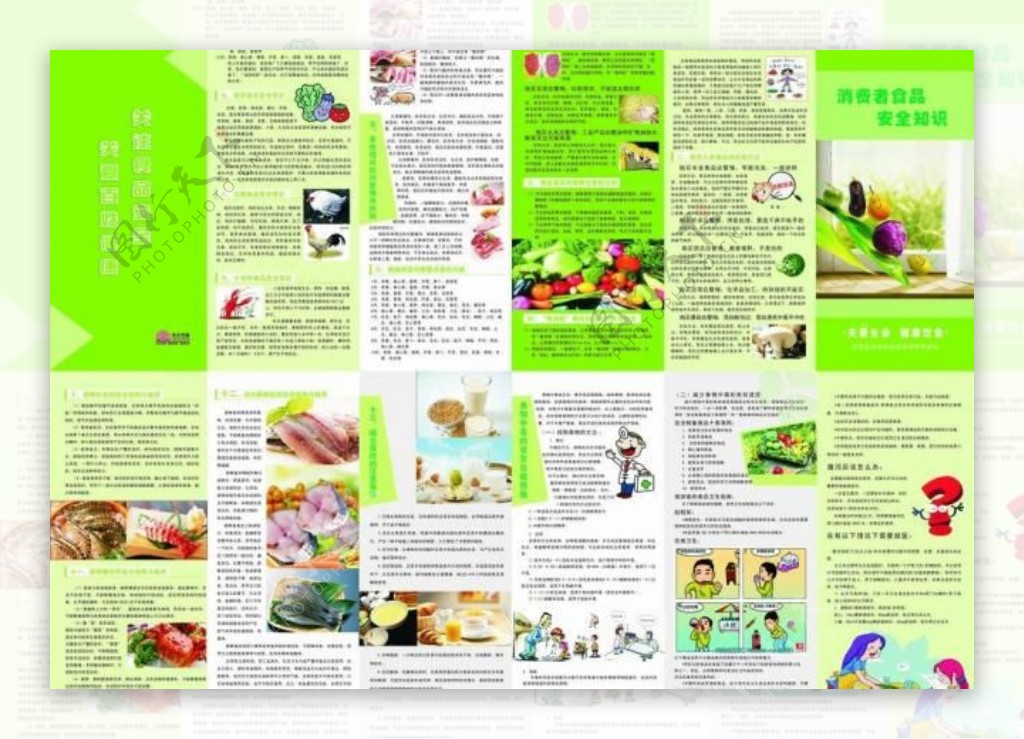 食品安全知识六折页图片