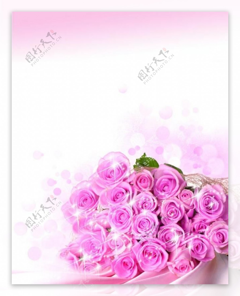 粉色玫瑰花浪漫背景图片