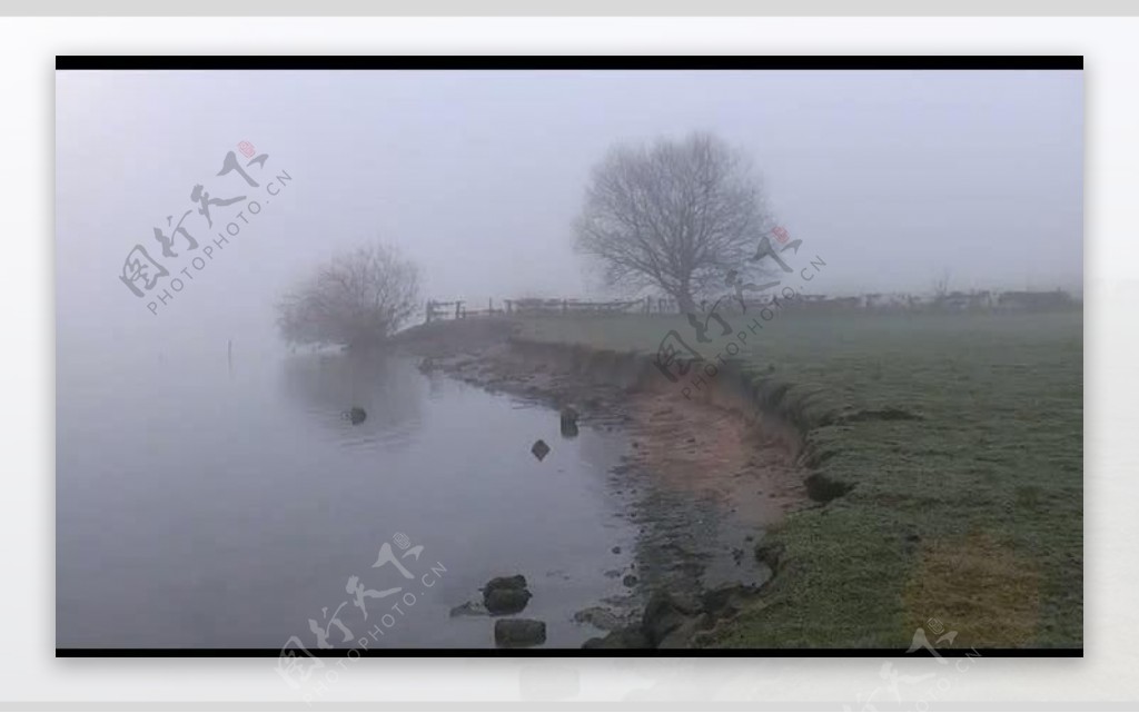 清晨河边雾气树木视频图片