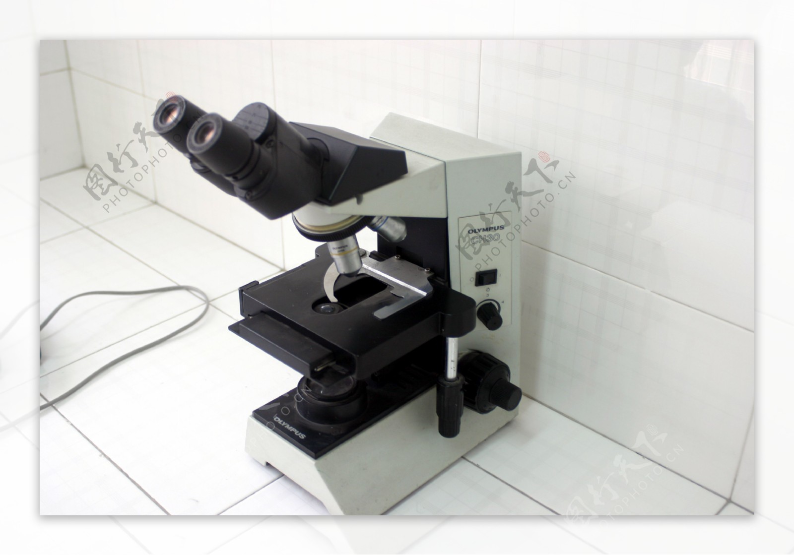显微镜图片
