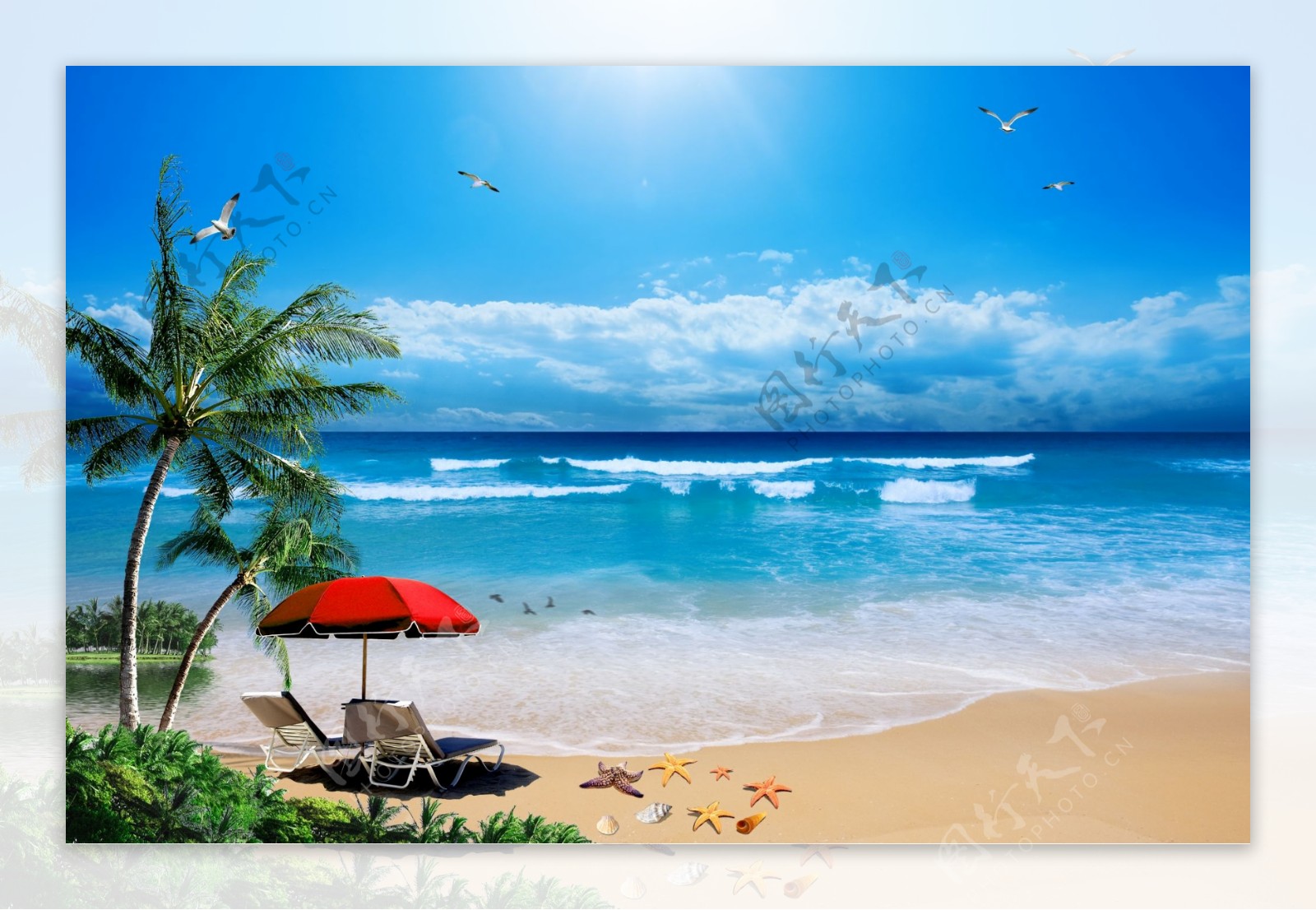 大海海滩椰树蓝天图片