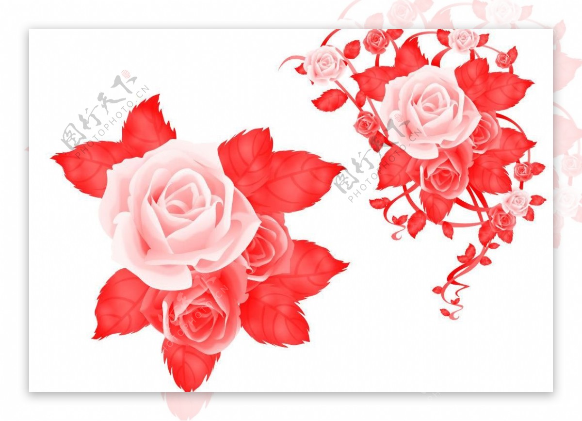带藤蔓的玫瑰花笔刷图片