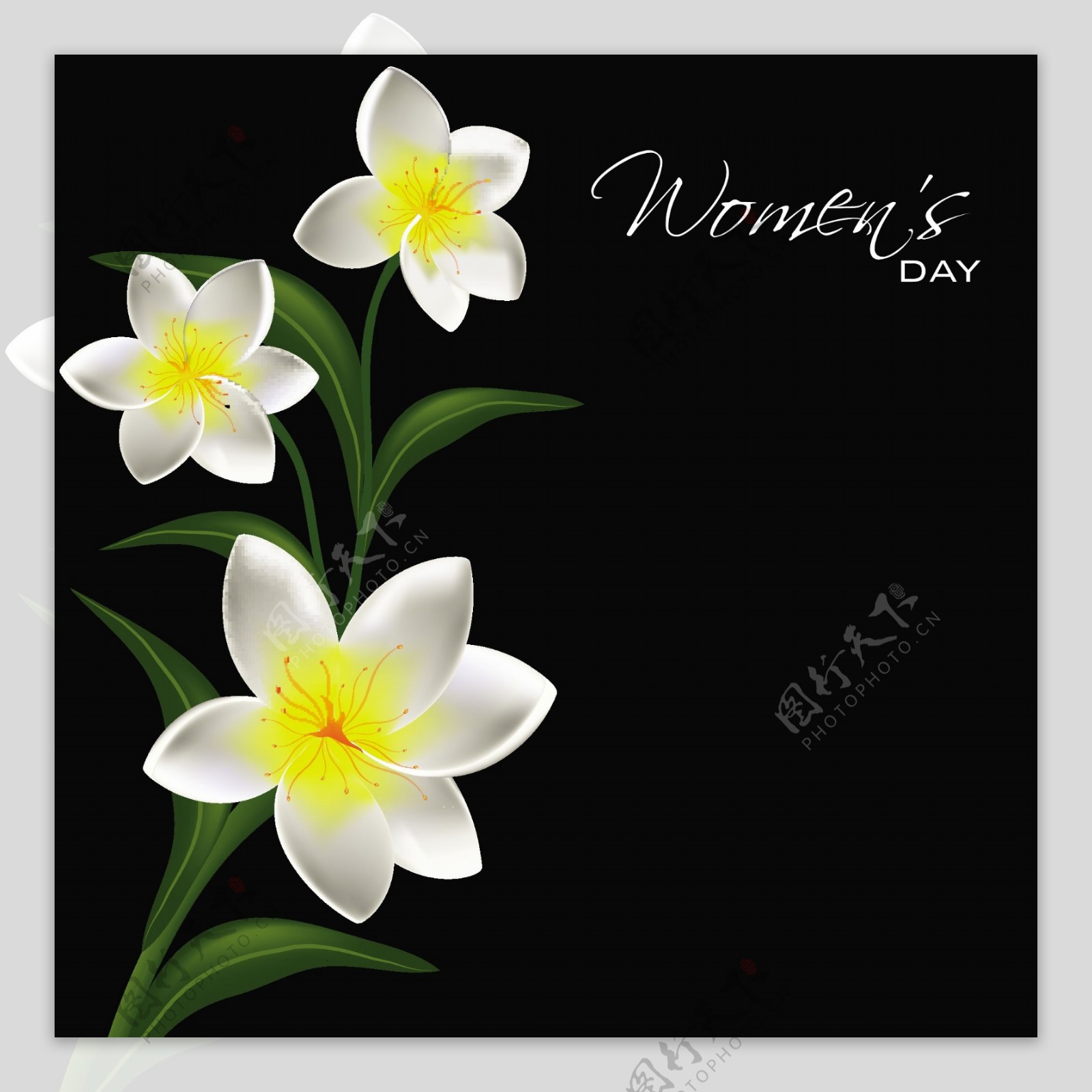 三八妇女节贺卡或海报设计与美丽的花朵在黑色的背景设计