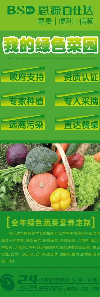 蔬菜健康养生x展架展板设计图片