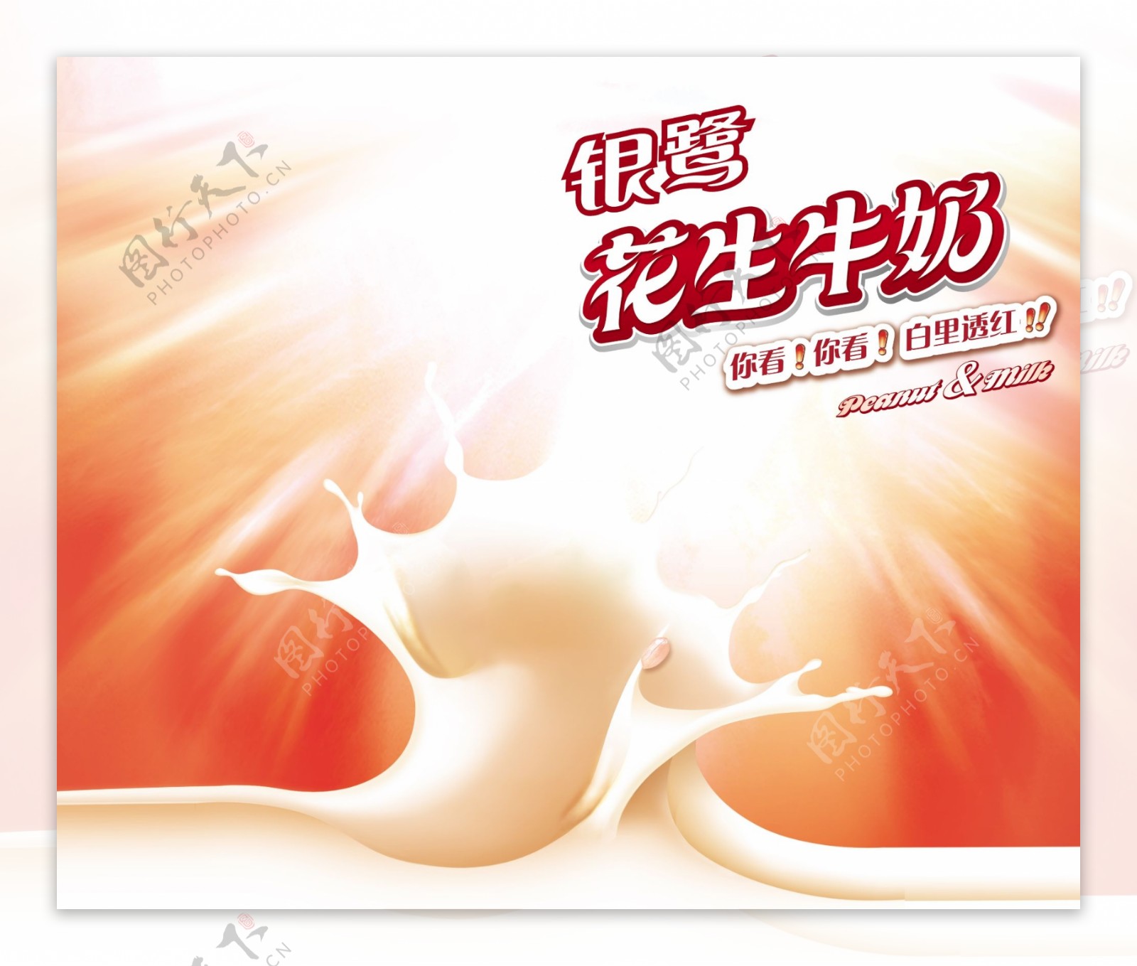 银鹭花生牛奶设计图片效果