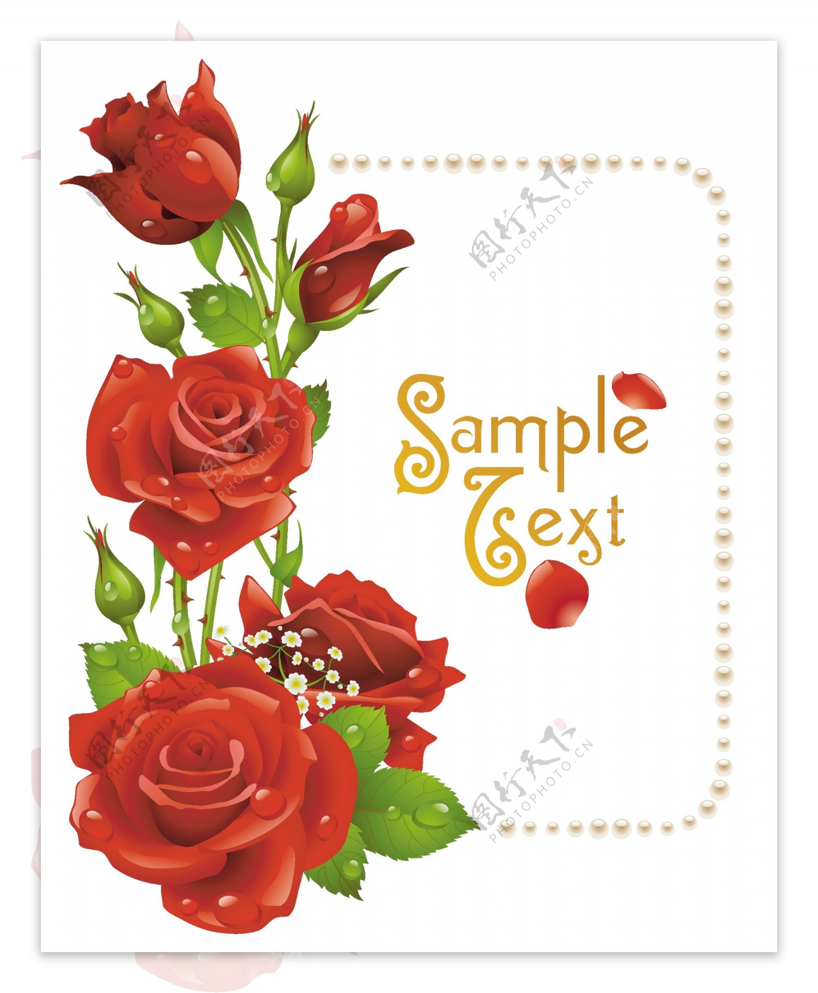 矢量红玫瑰浪漫卡片背景