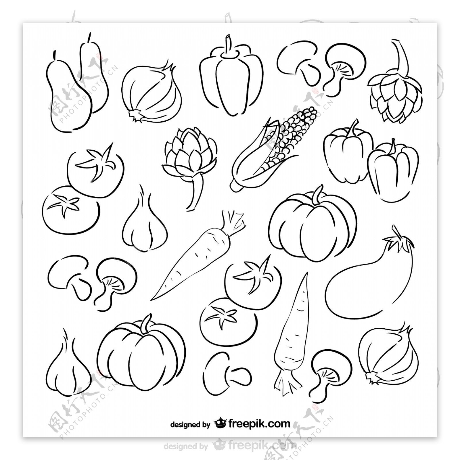 21款手绘蔬菜设计