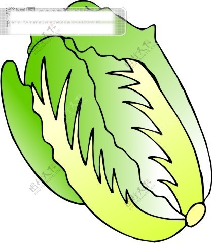 蔬菜卡通白菜图2