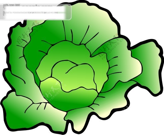 蔬菜卡通白菜图23