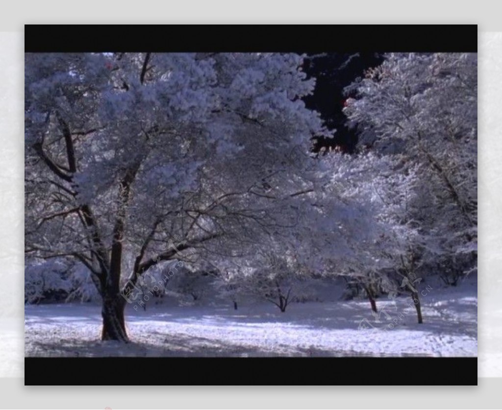 雪景视频素材