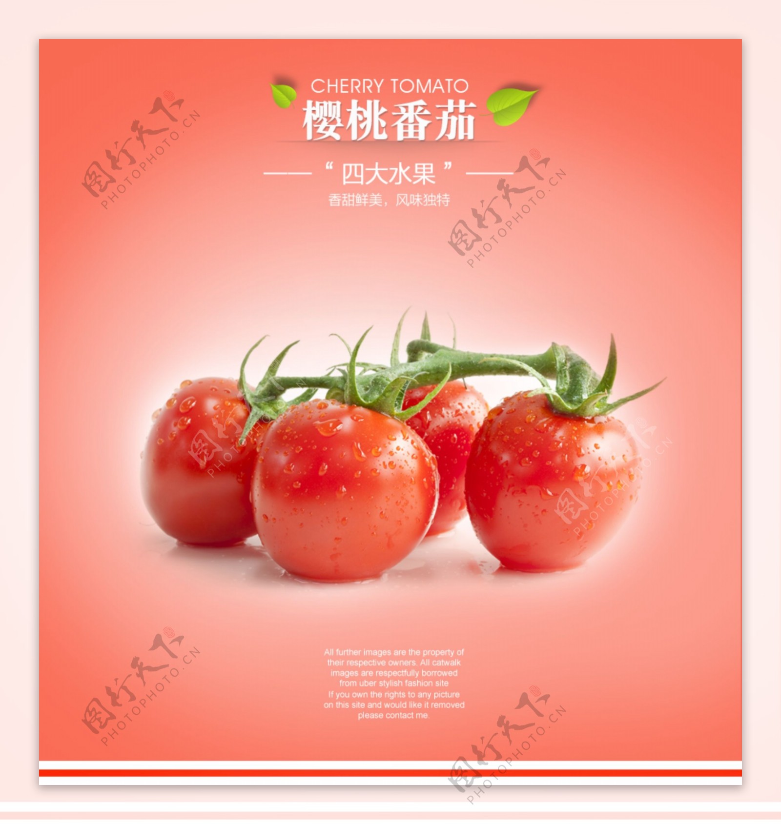 淘宝创意海报设计番茄水果食品ps下载