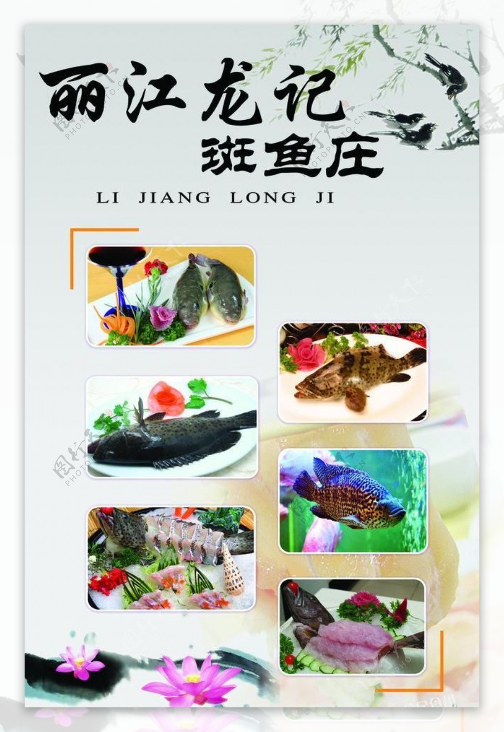 丽江龙记斑鱼庄图片