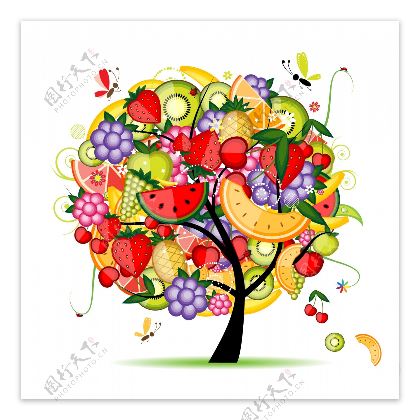 水果树木图片
