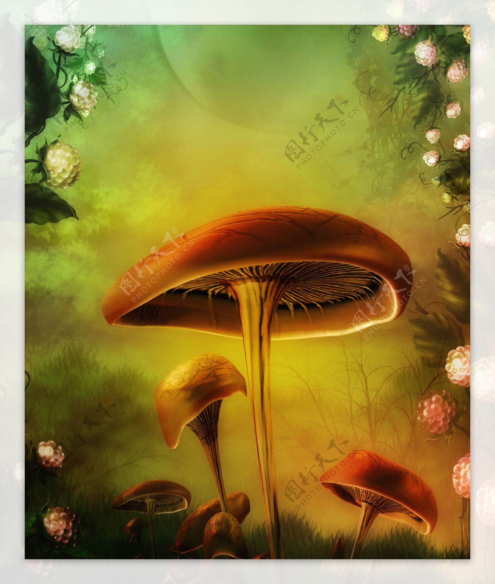 梦幻童话影楼背景蘑菇花朵图片