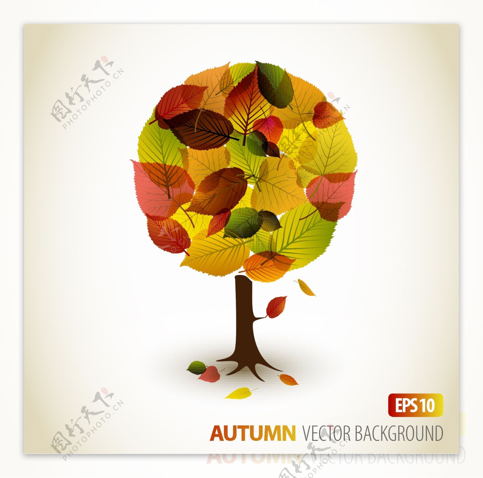 秋天的树叶图形autumn矢量图
