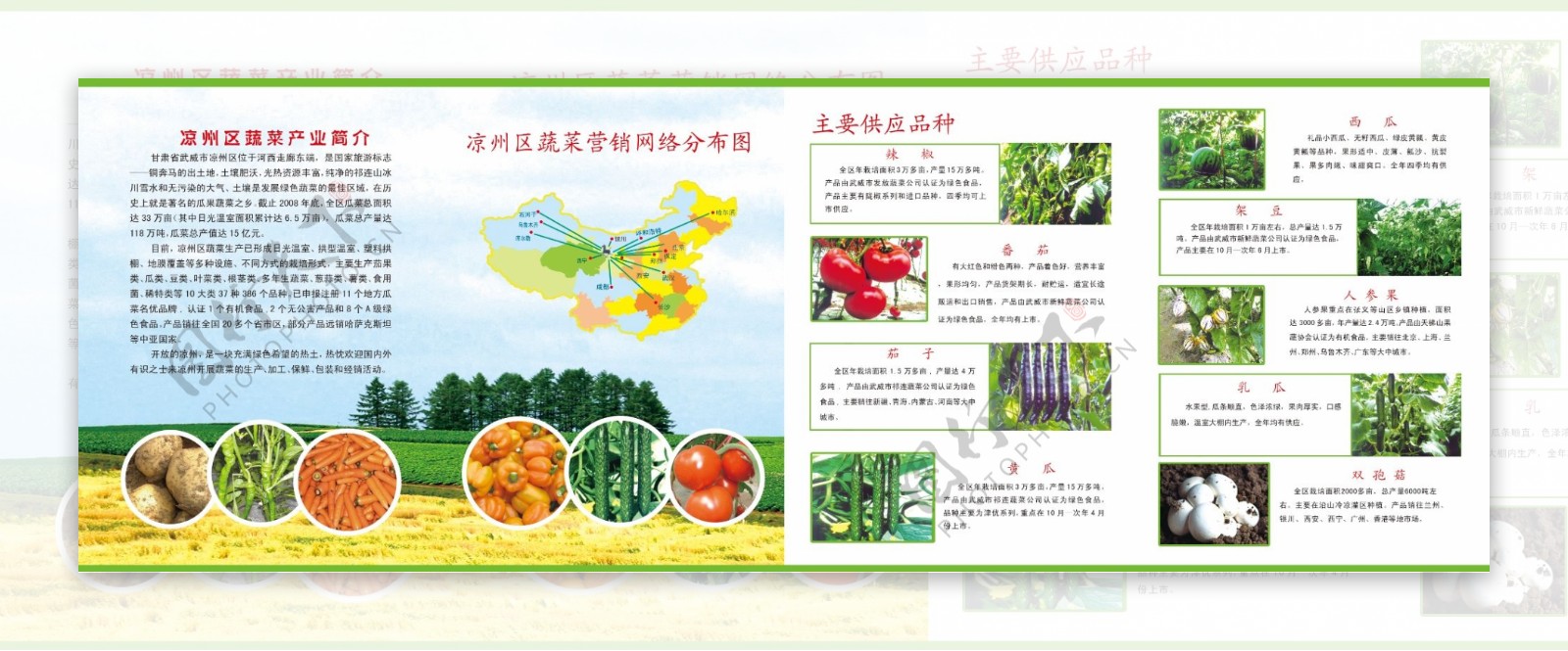 蔬菜四折页图片