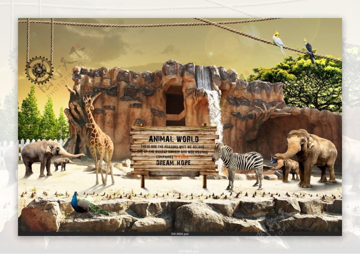 韩国高清素材动物园