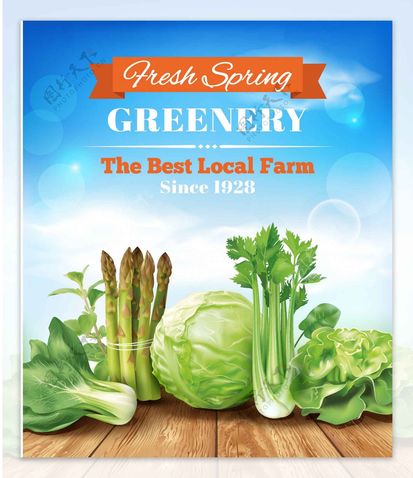 绿色蔬菜海报矢量图