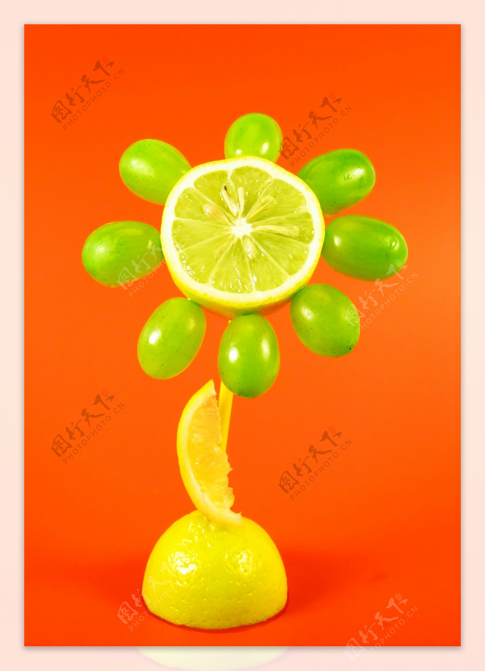 水果创意广告摄影图片