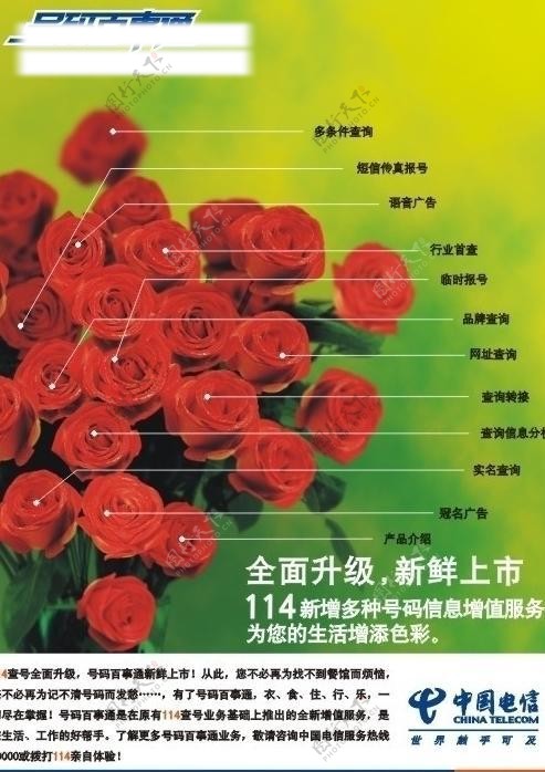 中国电信114形象广告玫瑰花篇图片