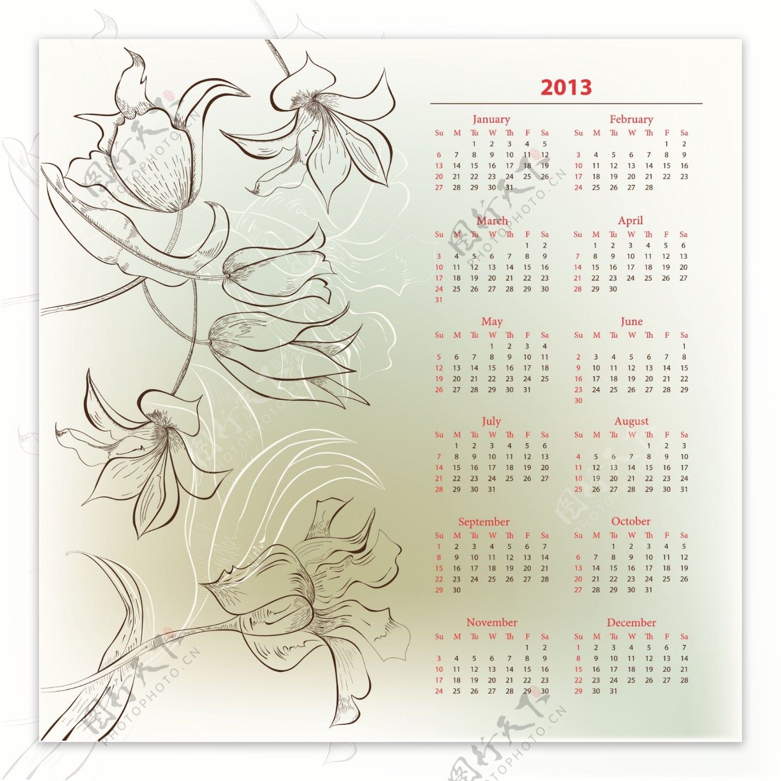 2013年花卉线稿日历矢量素材