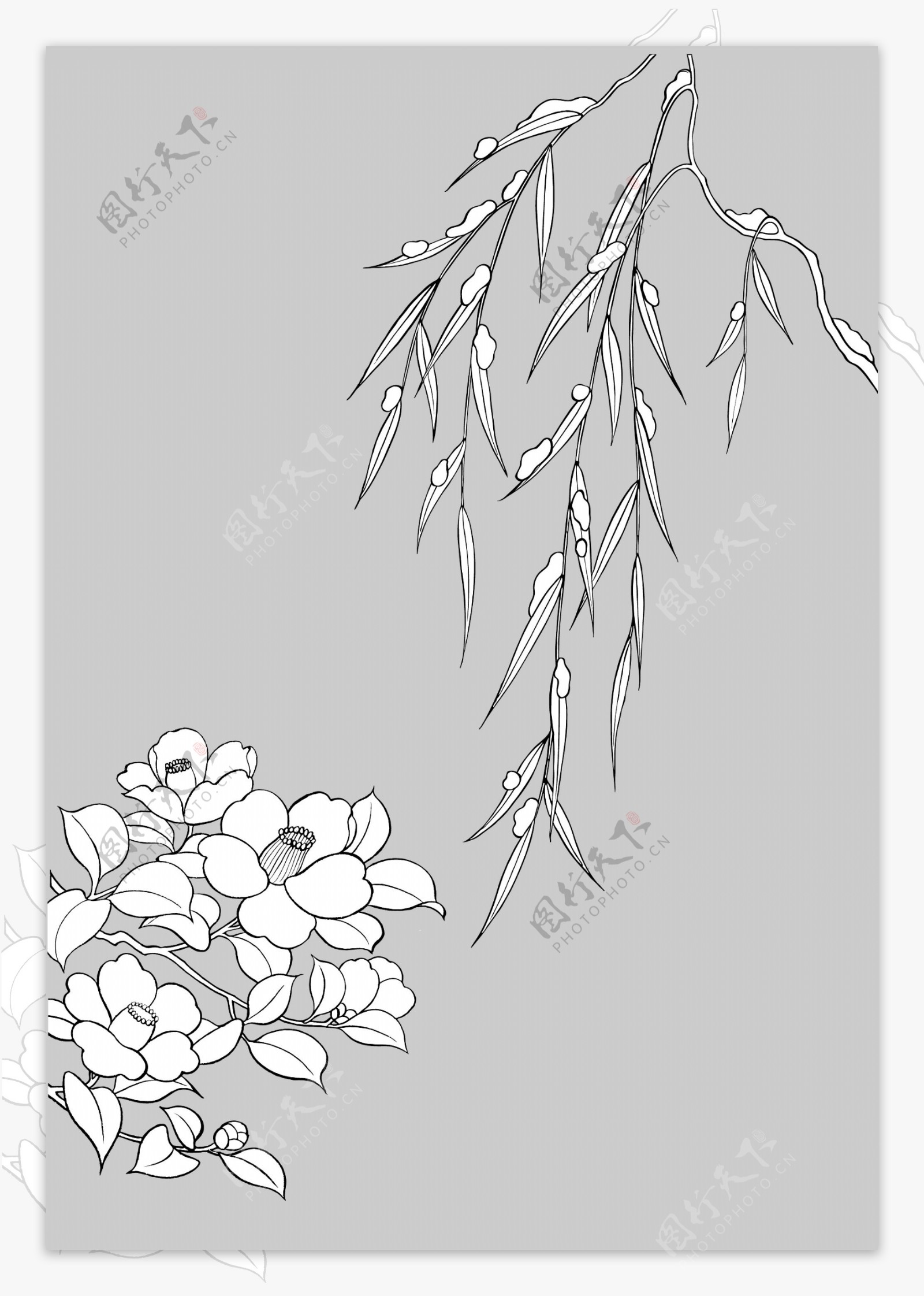 线描植物花卉矢量素材16柳树枝与椿.