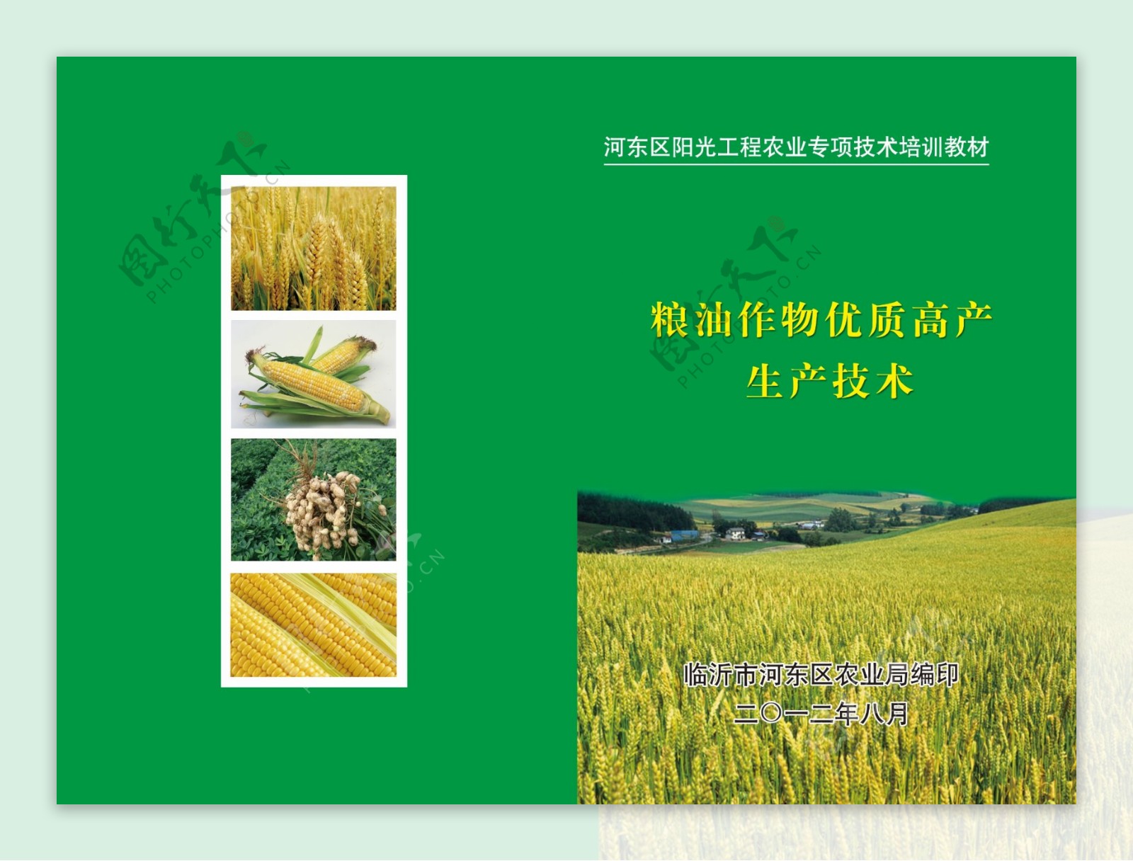 小麦画册图片