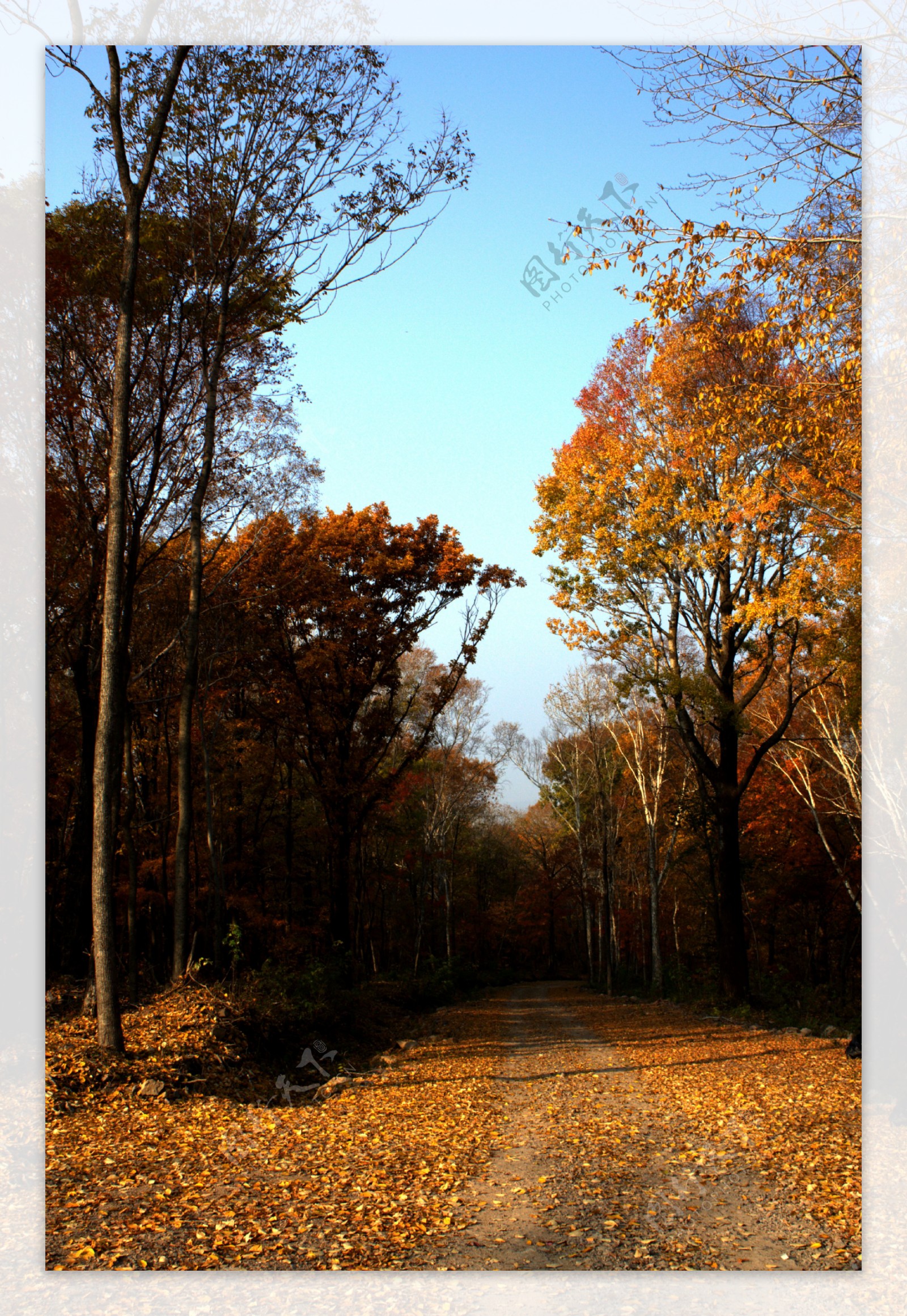 秋日里的山间小路